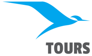 Zigma Tours - logo dark