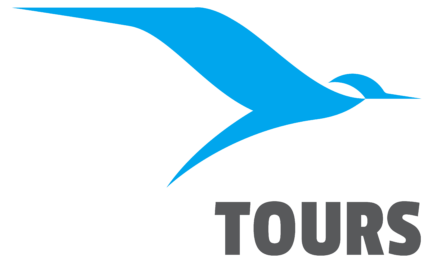 Zigma Tours - logo dark