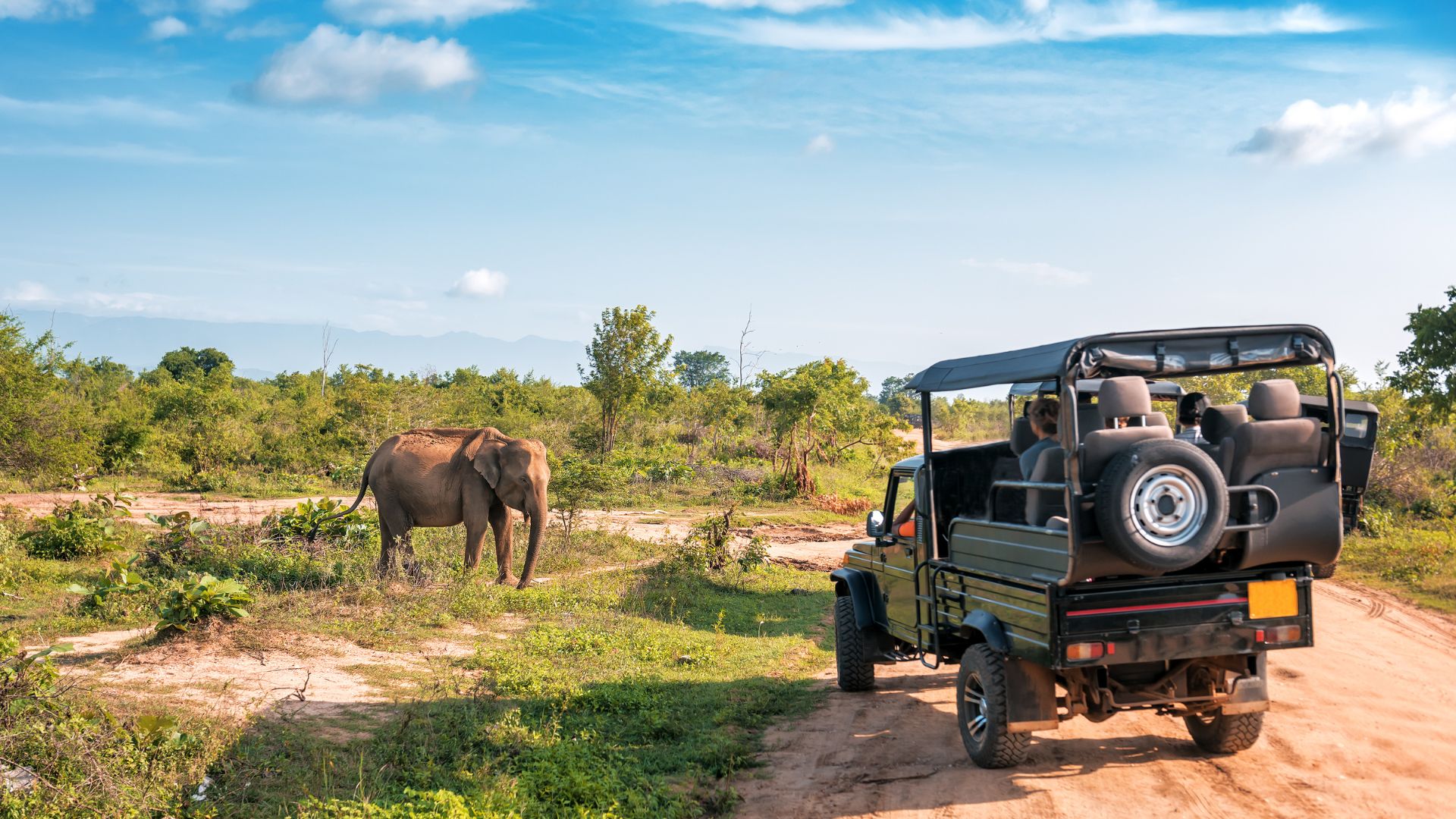 Udawalawe National Park - Sri Lanka